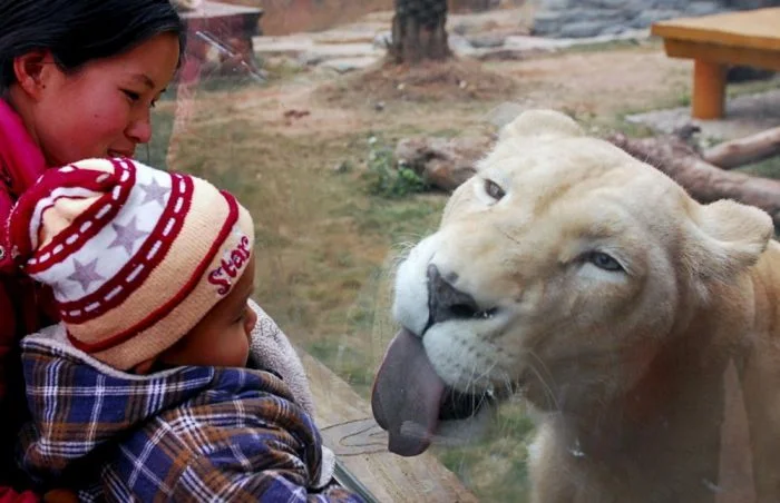 Подборка картинок на общую тему
