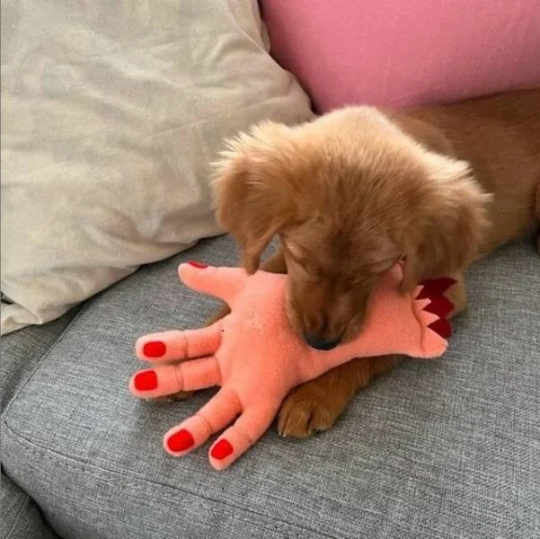 Намешалось: Красивые и интересные картинки