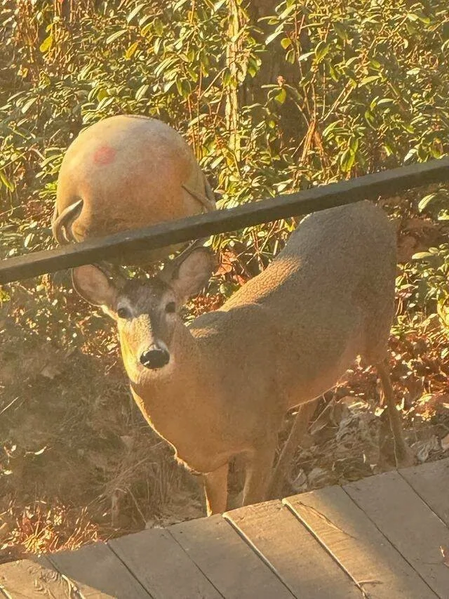 Намешалось: Красивые и интересные картинки