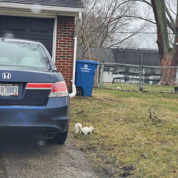 Подборка картинок на общую тему