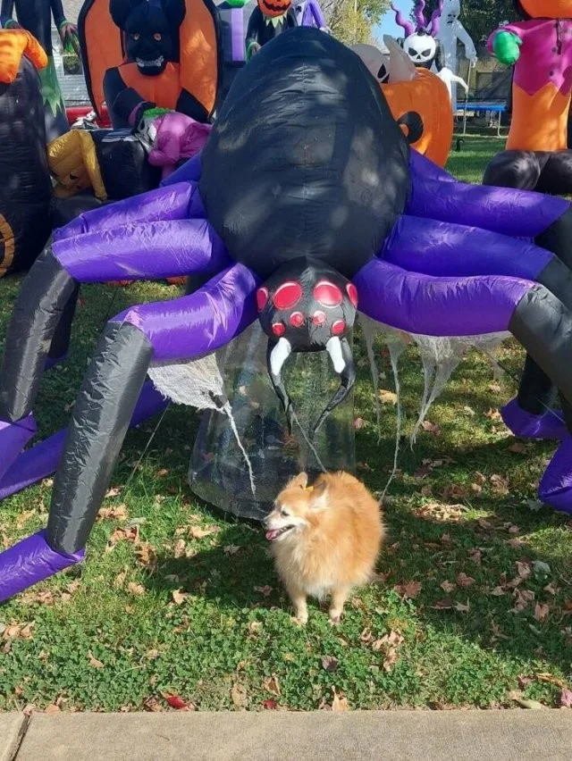 Взбалталось и намешалось