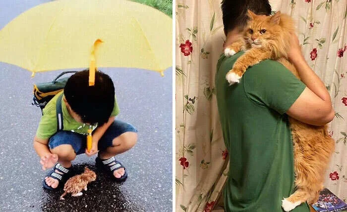 Трогательные моменты дружбы