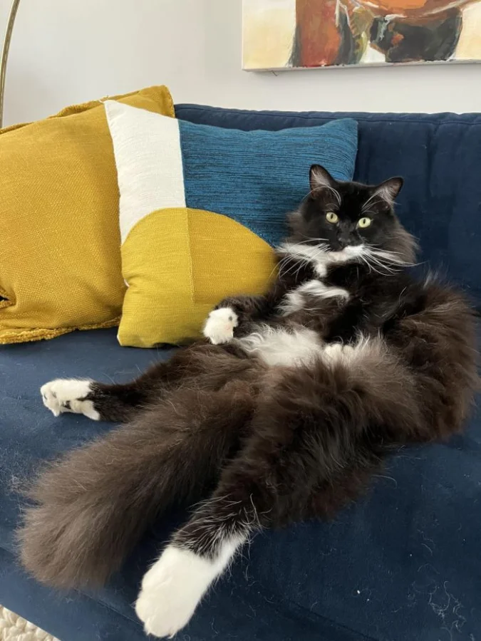 Что оставляют в наследство? 30 удивительных примеров