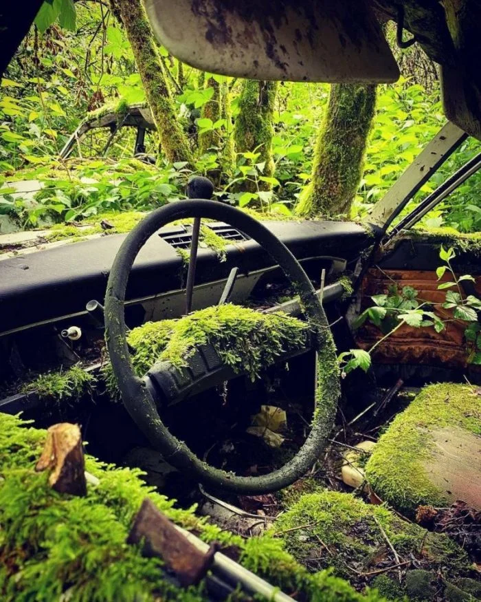 Подъехало всё вразнобой