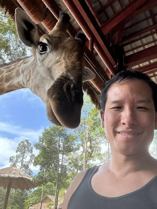 Снова намешалось