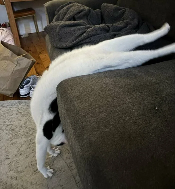 Снова намешалось