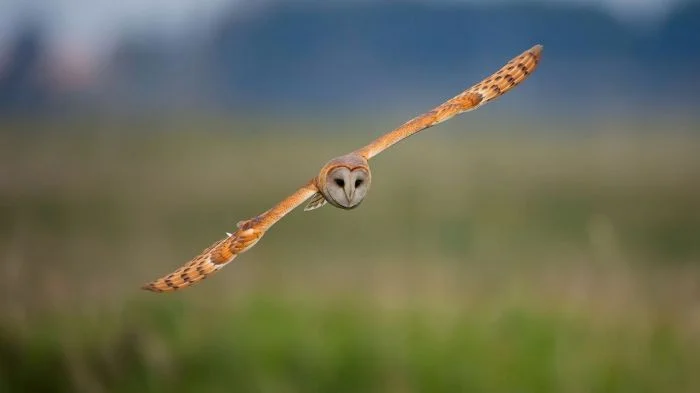 Свежее на общую тему