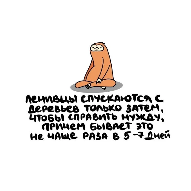 Любопытные факты