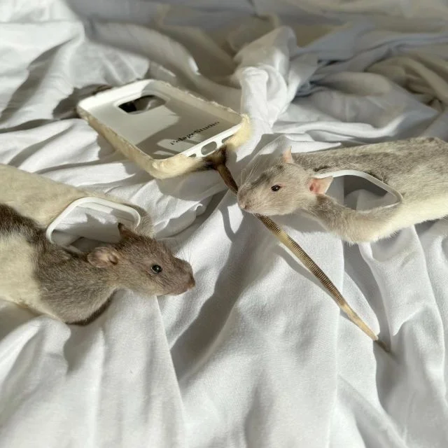 Новогодние идеи: что подарить коллеге на праздник?