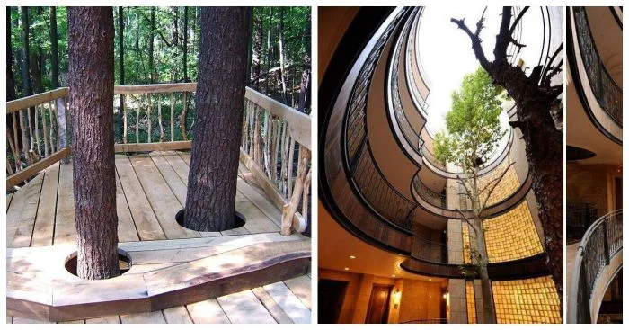 Органическая архитектура: 18 сооружений, вписанных в природу