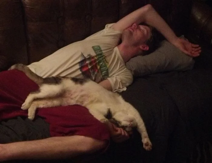 20 снимков, где повседневность превратилась в произведение искусства