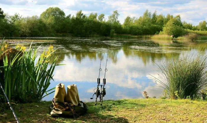 Снимки, которые согревают сердце