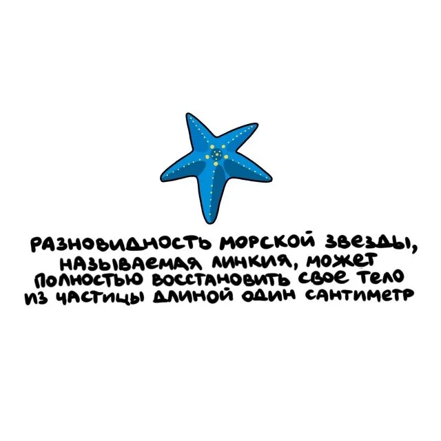 Удивительные факты