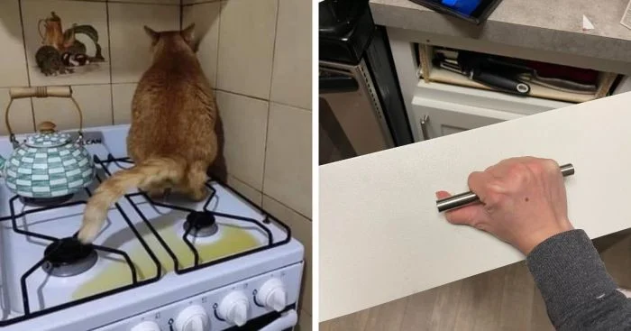 Кухонные катастрофы: случаи, когда готовка пошла не по плану