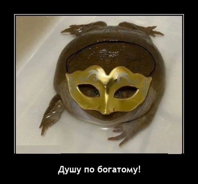 Демотиваторы для отличного настроения