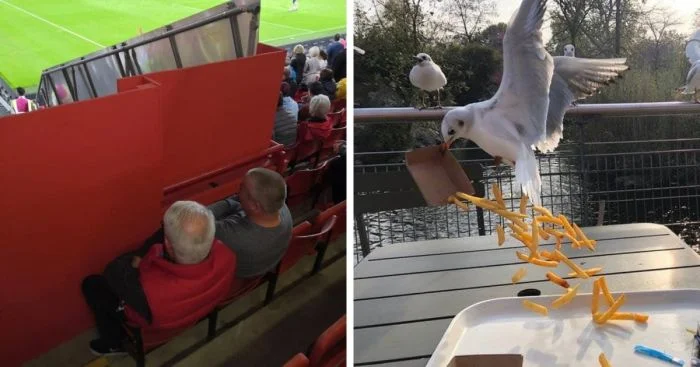 16 случаев, когда жизнь разрушила самые блестящие планы