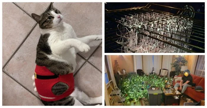 Рождественские чудеса, которые обернулись провалом