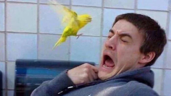 Туристы и животные: 30 неожиданных и пугающих встреч