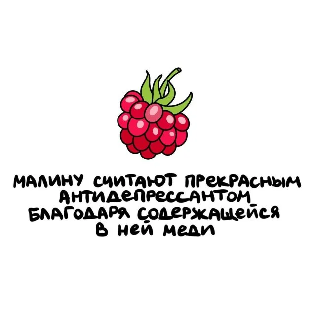 Удивительные факты на все случаи жизни