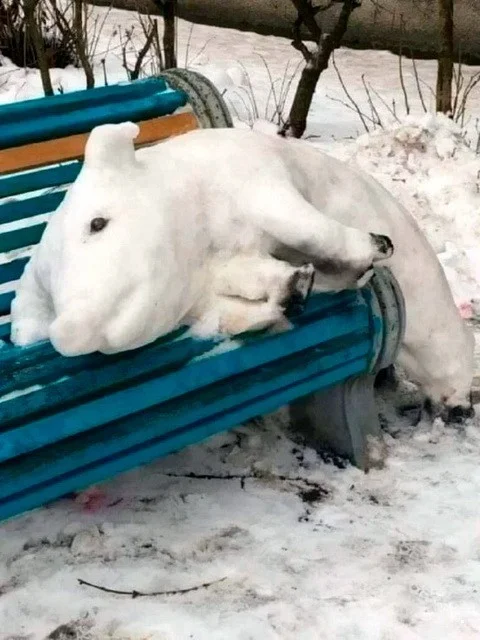 ФотоВсячина