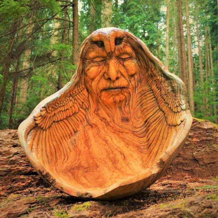 Когда природа становится искусством: 15 скульптур из плавника