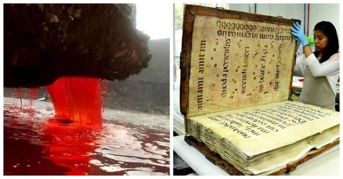 13 необычных изображений, которые вас удивят