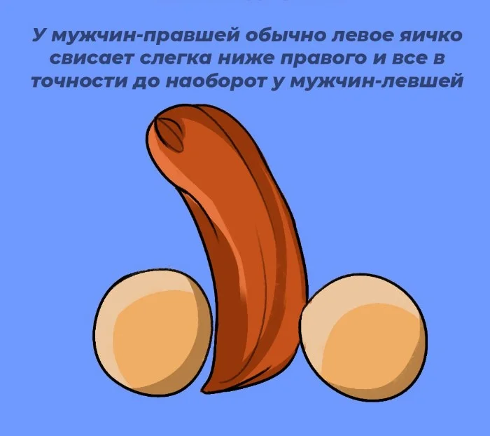 Сексуальная правда: 10 фактов, которым не научат в школе #39