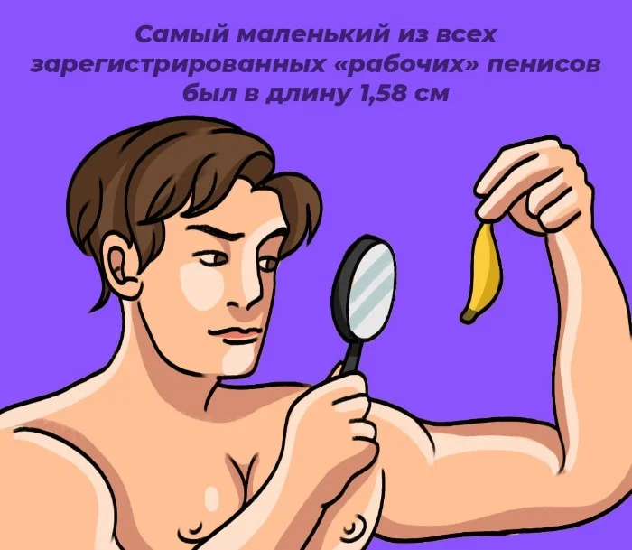 Сексуальная правда: 10 фактов, которым не научат в школе #56