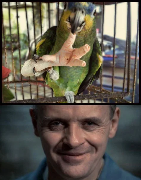 Весёлые картинки.