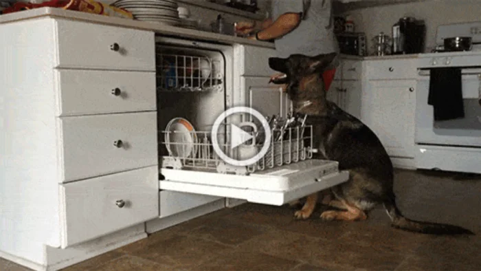 Вот такие гифки