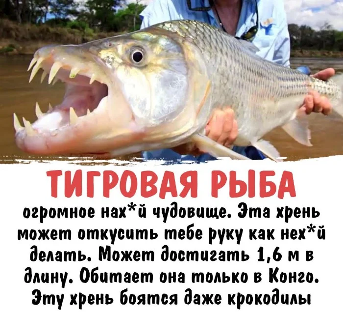 Интересная биология #42