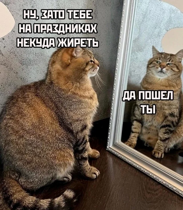 Весёлые картинки на 100%