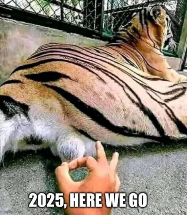 Баяны из 2025