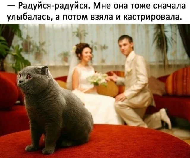 Ну смешно же!