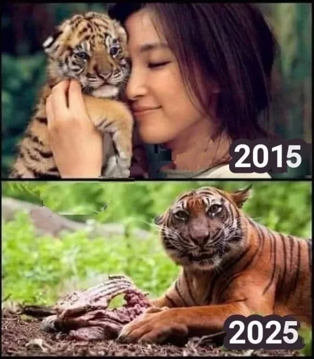 Взрослые смешнявки