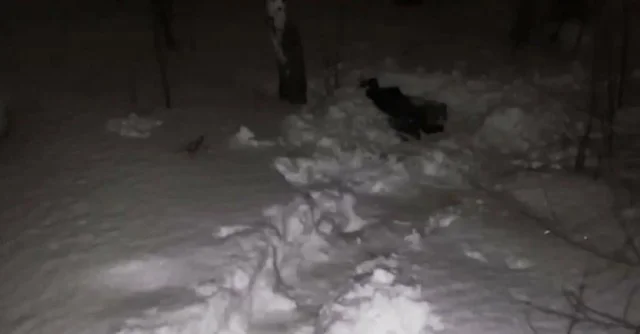 Шантаж по-семейному: история мужчины и его тёщи в 1987 году