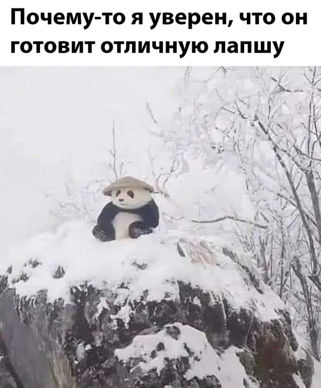 Новые смешные картинки