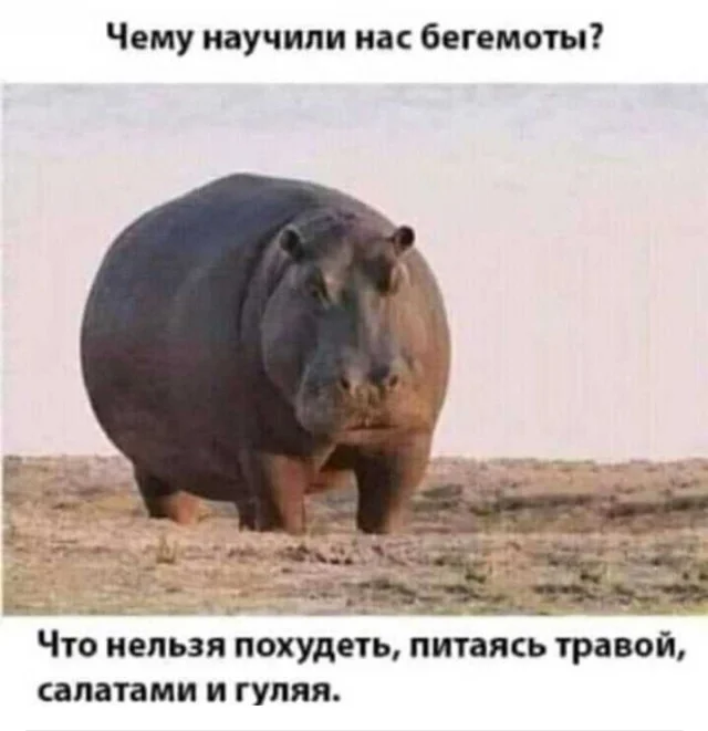 Баянчики подвезли