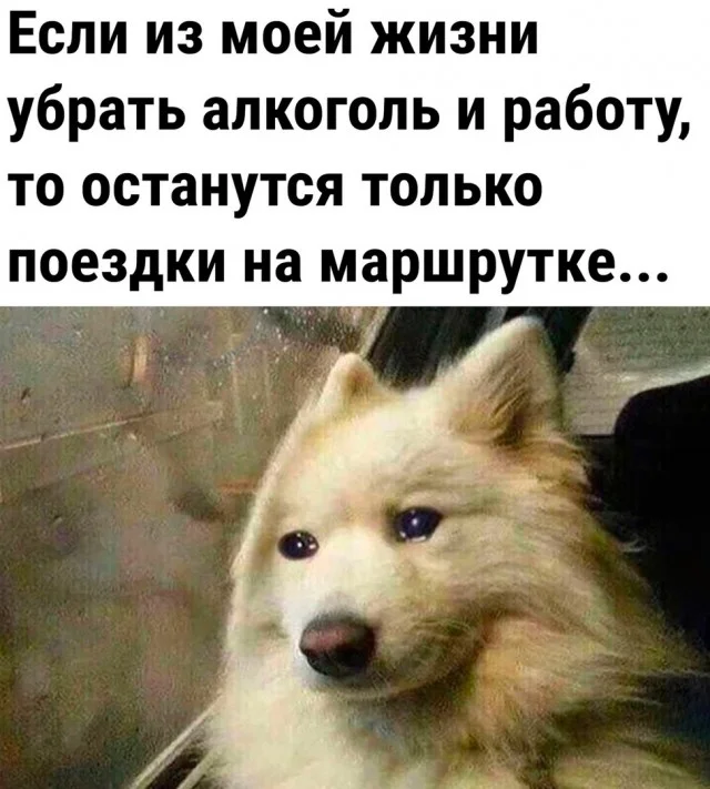 Баянчики подвезли