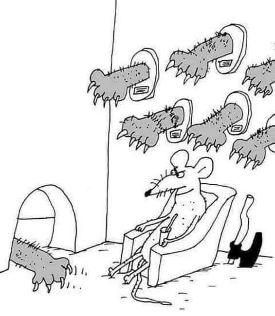 Баянчики подвезли