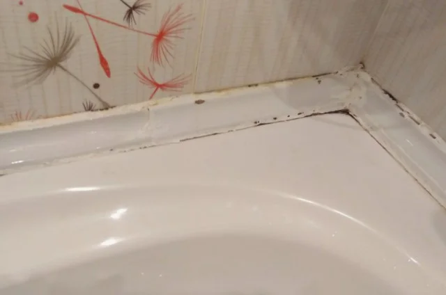 Секрет американцев: чем заменили силиконовый герметик и избавились от плесени навсегда