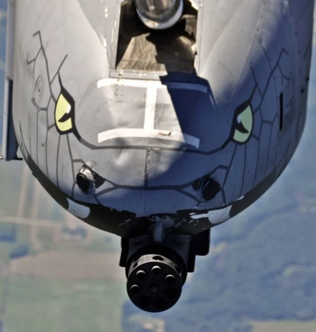 Фото Рулетка