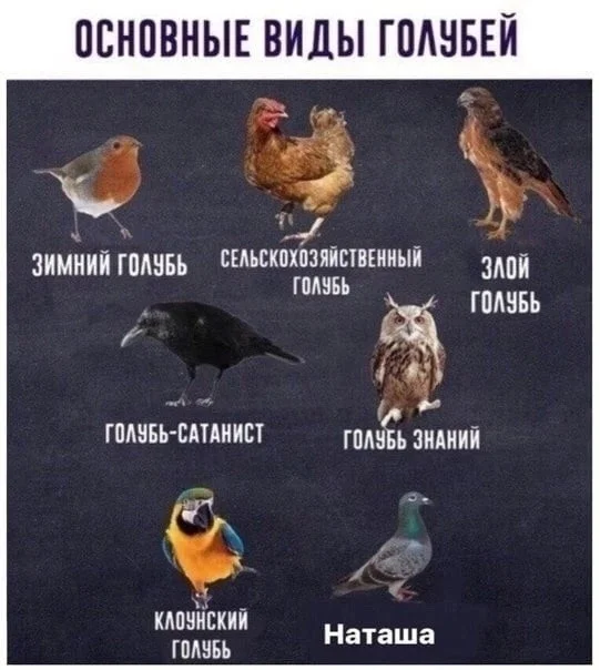 Баяны разной тематики