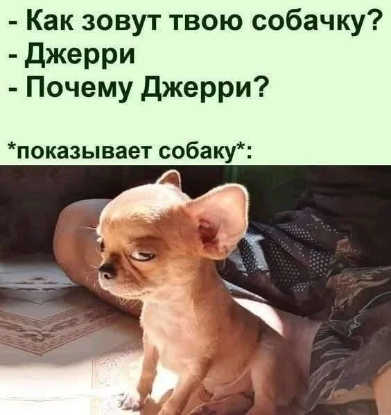 Улыбахи