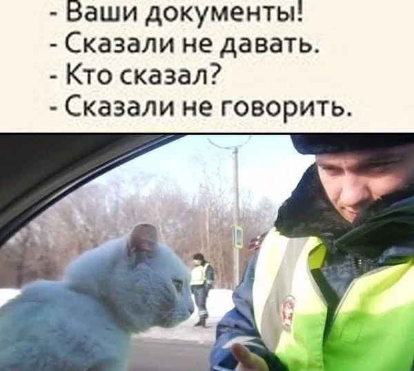 Юморной свежачок