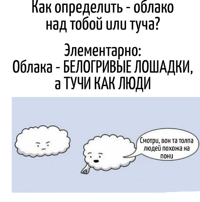 Игра слов #51