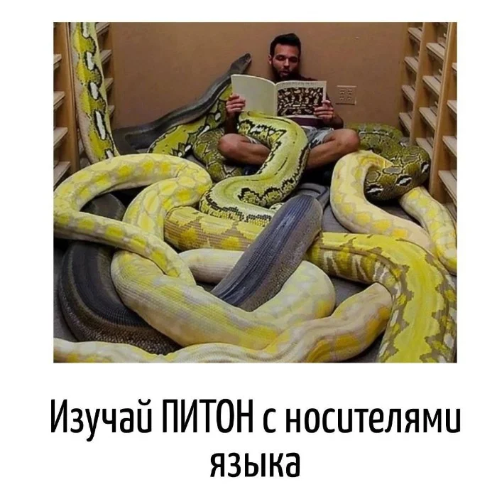 Игра слов #54