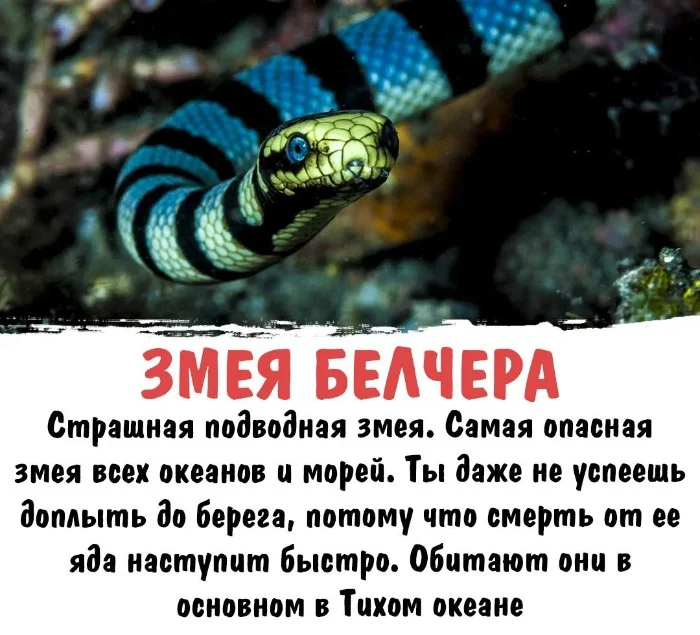 Интересная биология #55