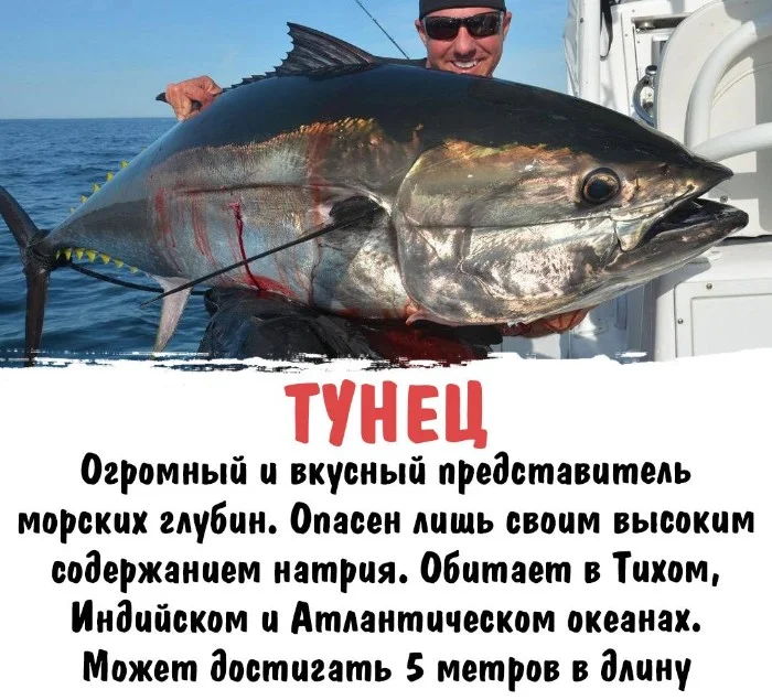 Интересная биология #55