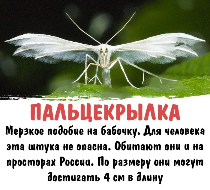 Интересная биология #43